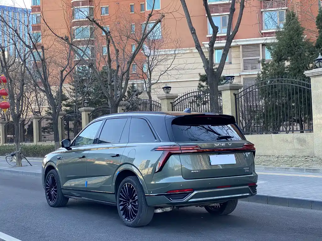 Wei Brand Blue Mountain 2025 Four-wheel Drive Ultra купить на сайте DeffCars