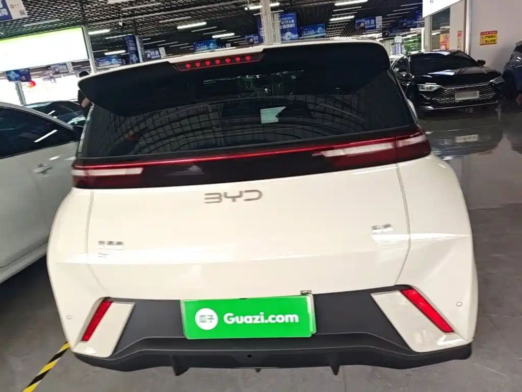 Seagull 2024 Honor Edition 305km Free купить на сайте DeffCars