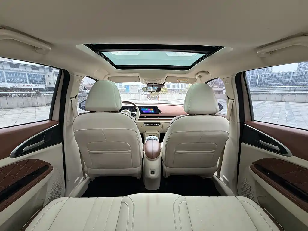 Euler Good Cat 2021 Model 400km Standard Range Venus Edition Lithium Iron Phosphate купить на сайте DeffCars