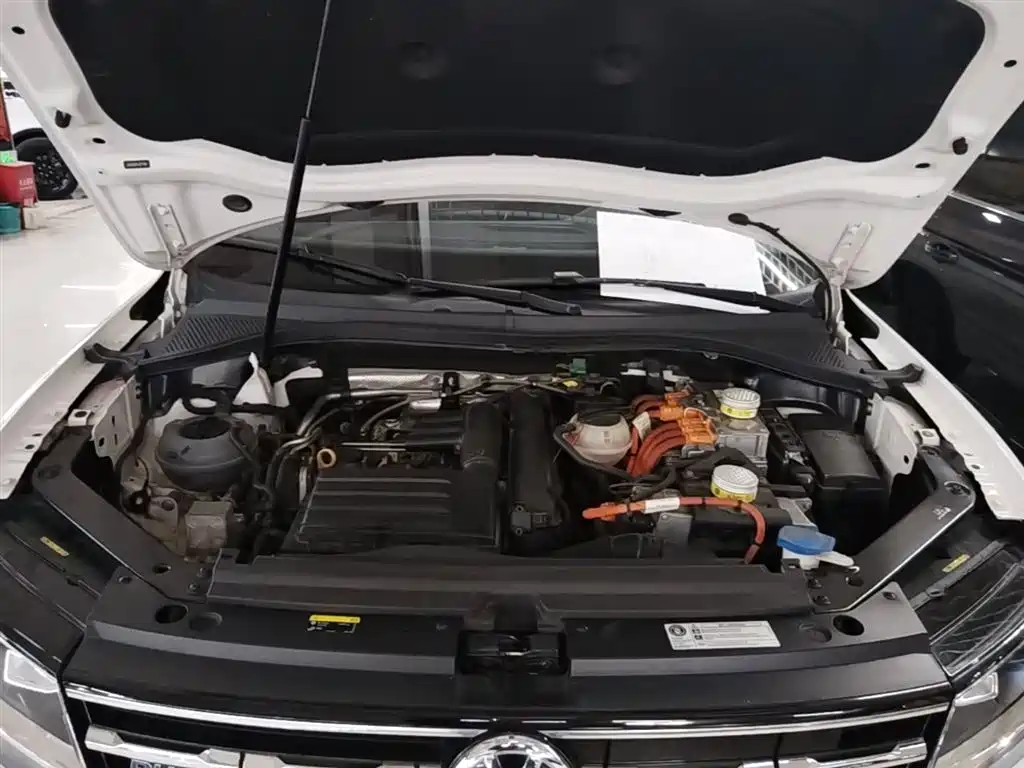 Tiguan L New Energy 2019 430PHEV Hybrid Luxury Edition купить на сайте DeffCars