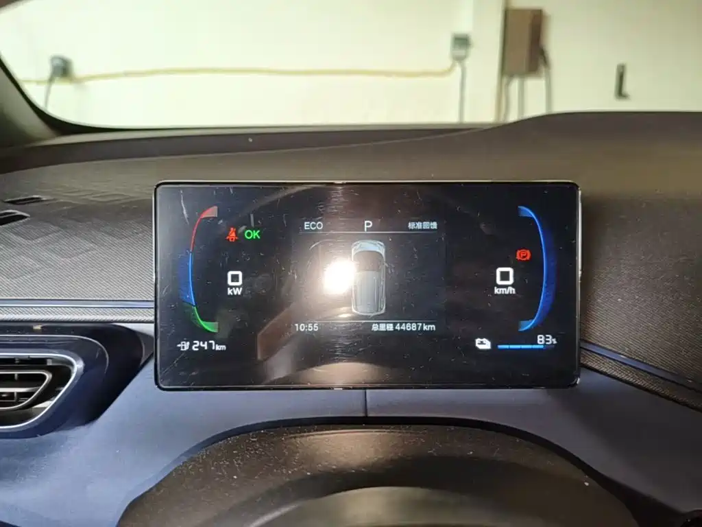 Seagull 2025 305km active version купить на сайте DeffCars