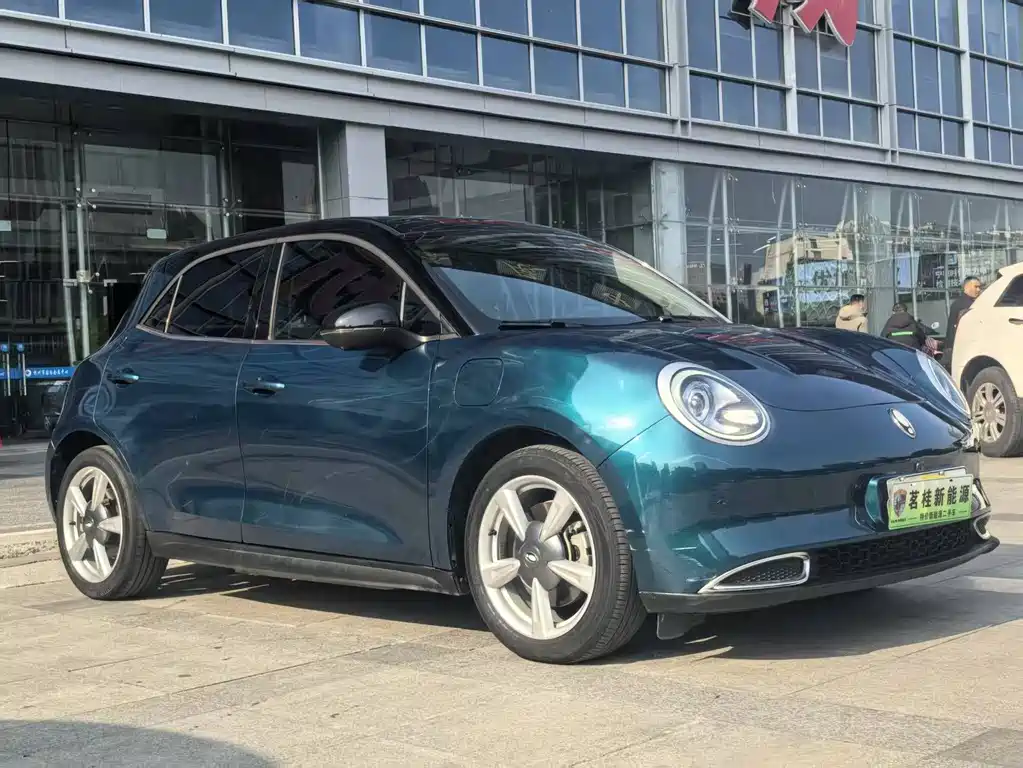 Euler Good Cat 2021 Model 400km Standard Range Venus Edition Lithium Iron Phosphate купить на сайте DeffCars