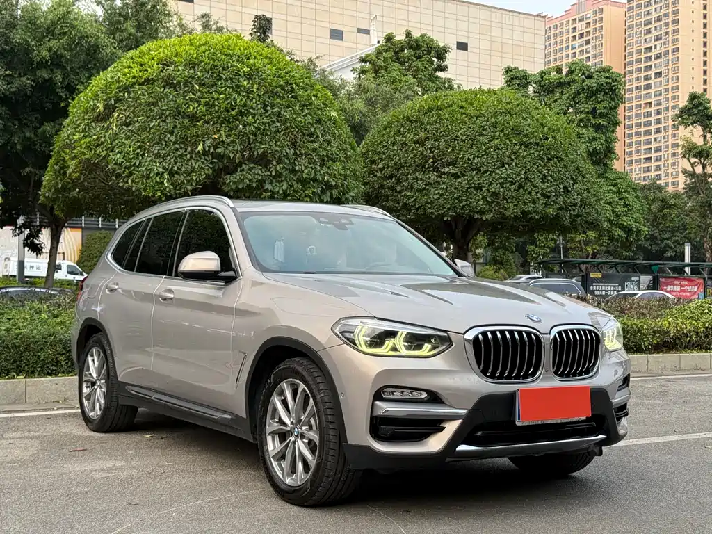 BMW X3 2018 xDrive25i Luxury Package National VI купить на сайте DeffCars