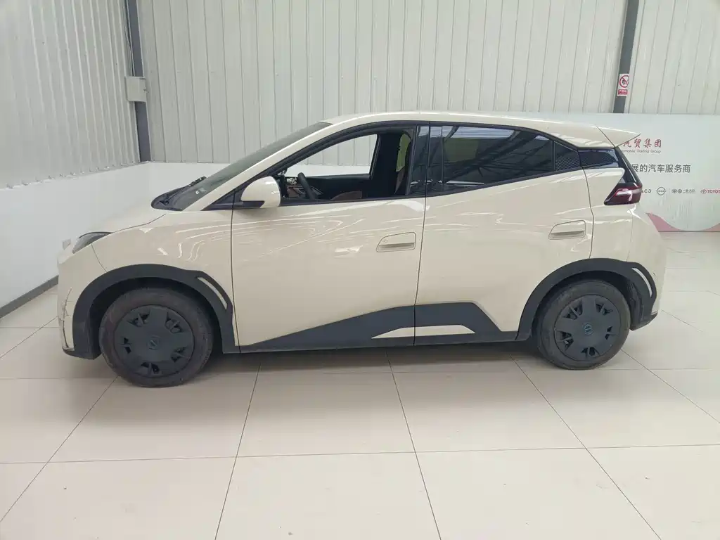 Seagull 2024 Honor Edition 305km Vitality Edition купить на сайте DeffCars