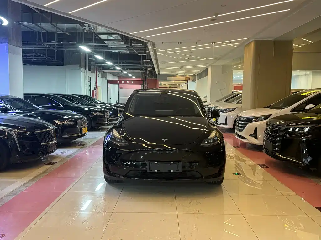 Model Y 2021 long-range all-wheel drive version купить на сайте DeffCars