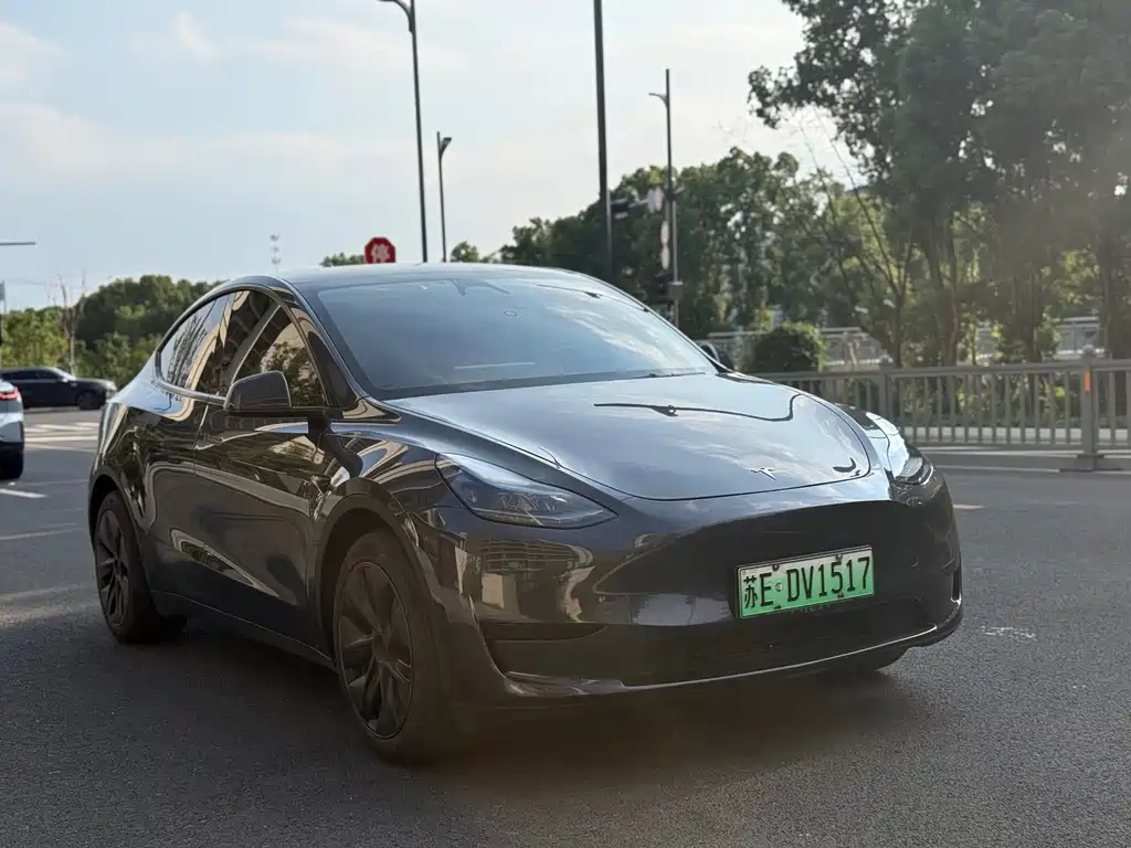 Model Y 2024 rear-wheel drive version купить на сайте DeffCars