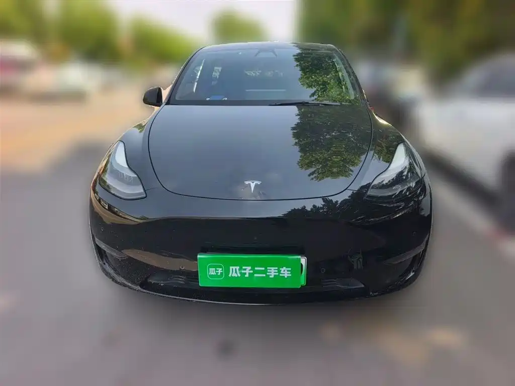 Model Y 2021 standard range rear-wheel drive version купить на сайте DeffCars