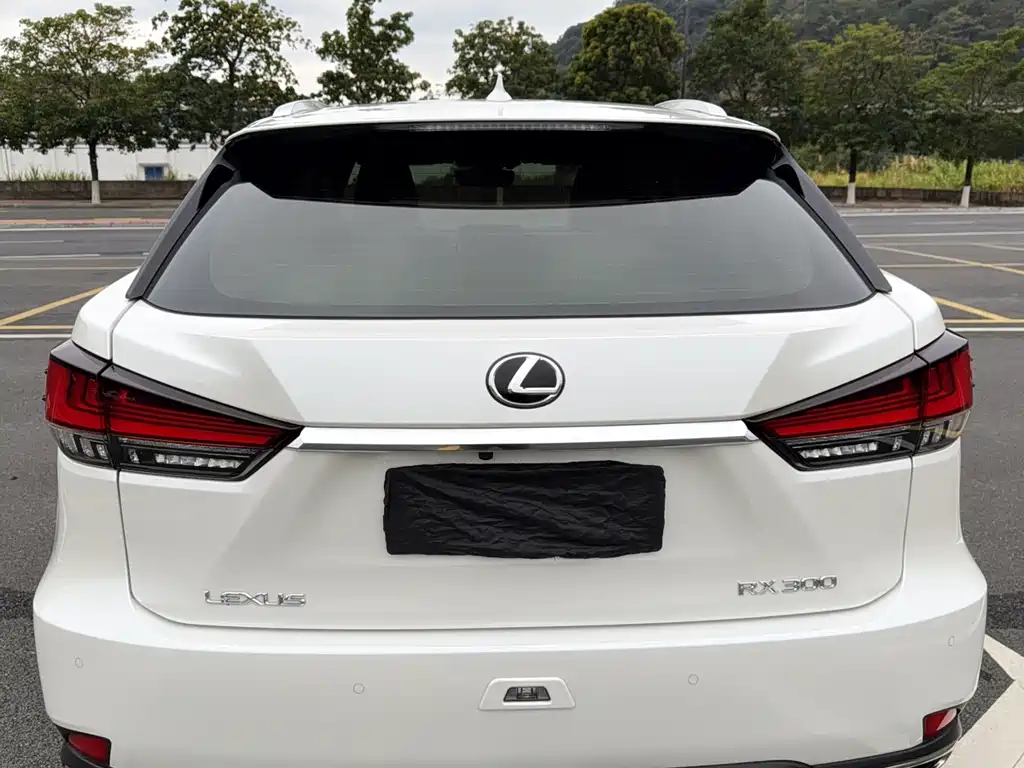 Lexus RX 2020 facelift 300 two-wheel drive comfort version купить на сайте DeffCars