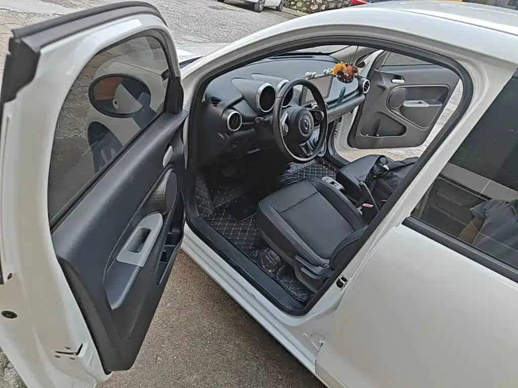 Euler Black Cat 2019 351km parent-child version купить на сайте DeffCars