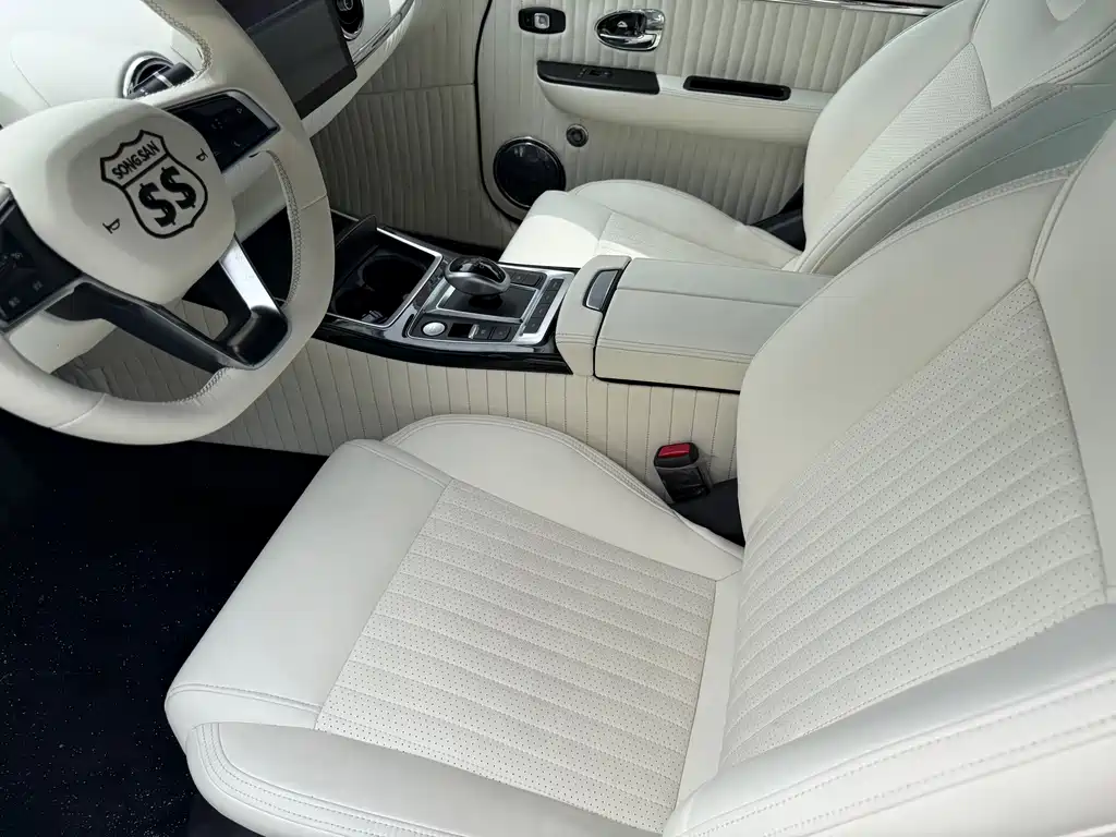 SS DOLPHIN 2021 1.5T plug-in hybrid standard model купить на сайте DeffCars