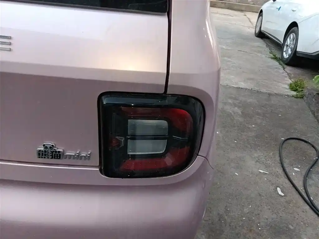 Panda 2025 Panda mini 210km Yuanqi Bear купить на сайте DeffCars