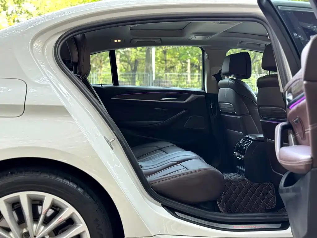 BMW 5 Series 2020 530Li Exclusive Luxury Package купить на сайте DeffCars