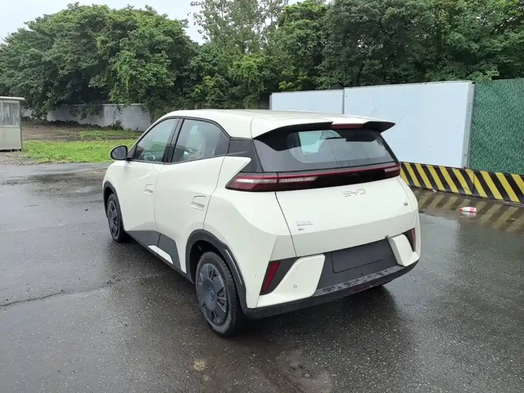 Seagull 2025 Smart Driving Edition 305km Dynamic купить на сайте DeffCars