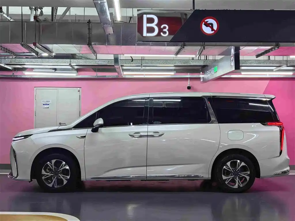 Everyone 9 2022 long battery life prairie seven-seat version купить на сайте DeffCars