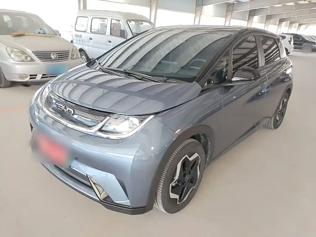 Dolphin 2025 420km active version купить на сайте DeffCars