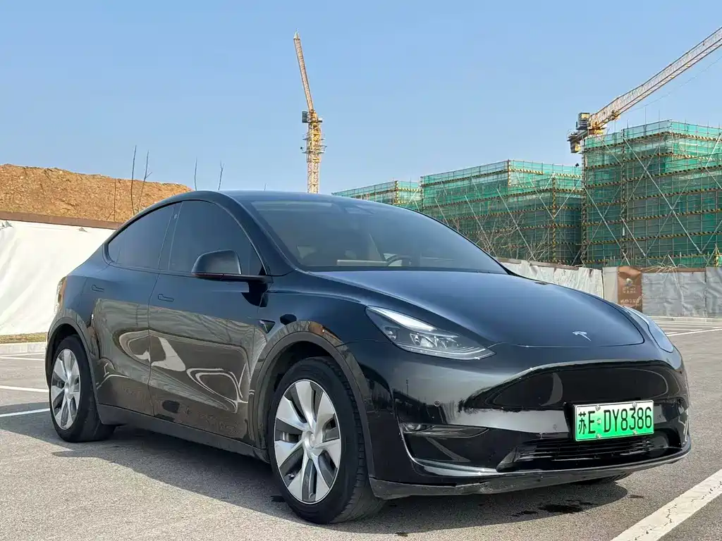 Model Y 2021 standard range rear-wheel drive version купить на сайте DeffCars