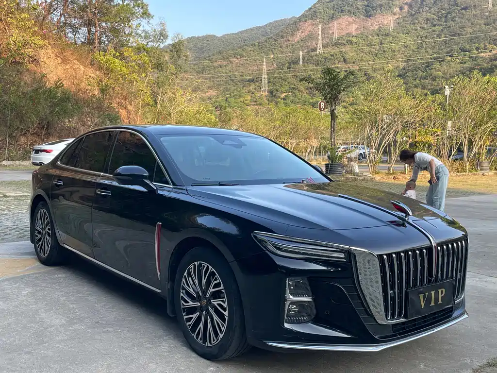 Hongqi H5 2023 2.0T automatic smart connected flag version купить на сайте DeffCars