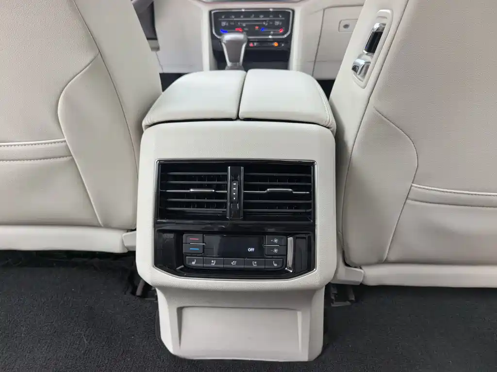 Weiran 2020 380TSI Premium Edition купить на сайте DeffCars