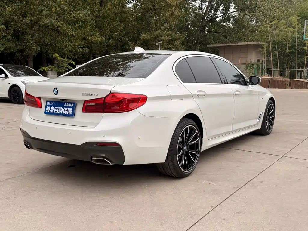 BMW 5 Series 2020 530Li Leading M Sports Package купить на сайте DeffCars