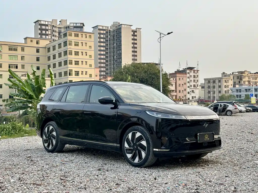 eπ008 2025 model 210Max Ruyi version 6 seats купить на сайте DeffCars