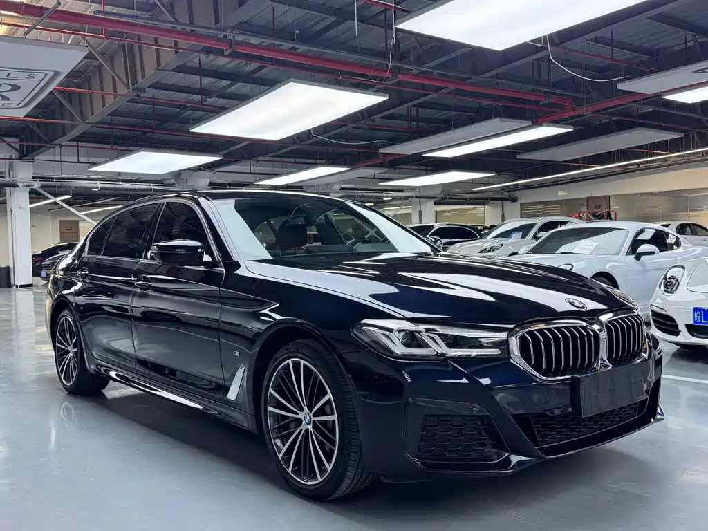 BMW 5 Series 2021 530Li Leading M Sports Package купить на сайте DeffCars