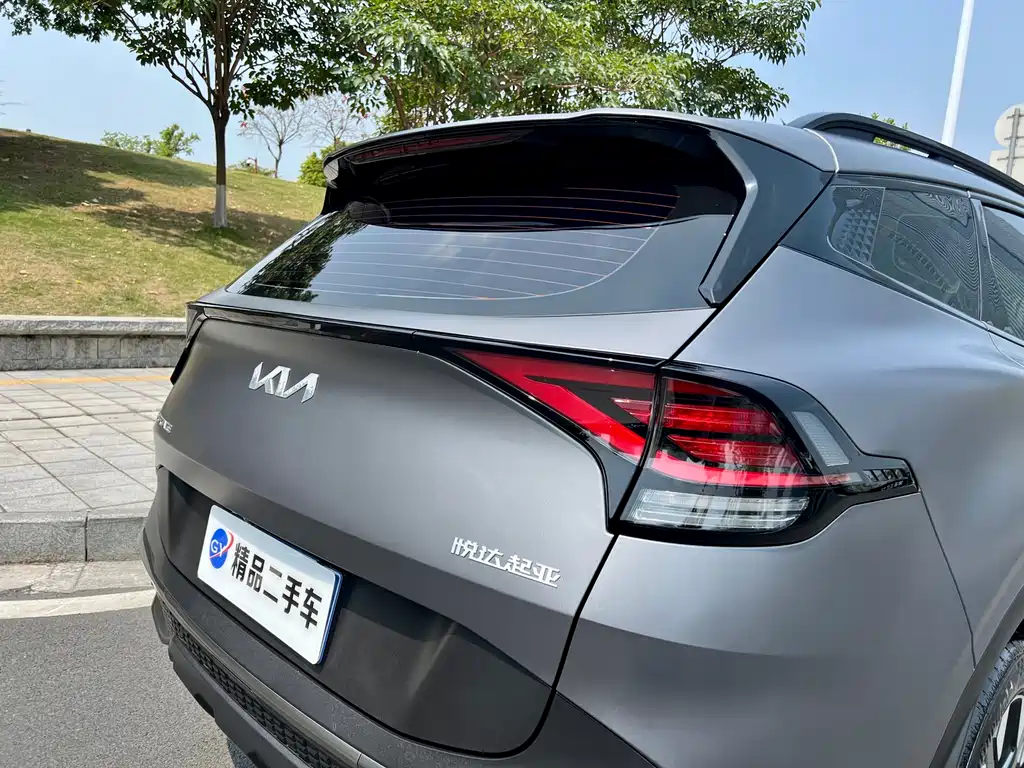 Lion Platinum expands the world 2023 2.0T two-wheel drive flagship version купить на сайте DeffCars