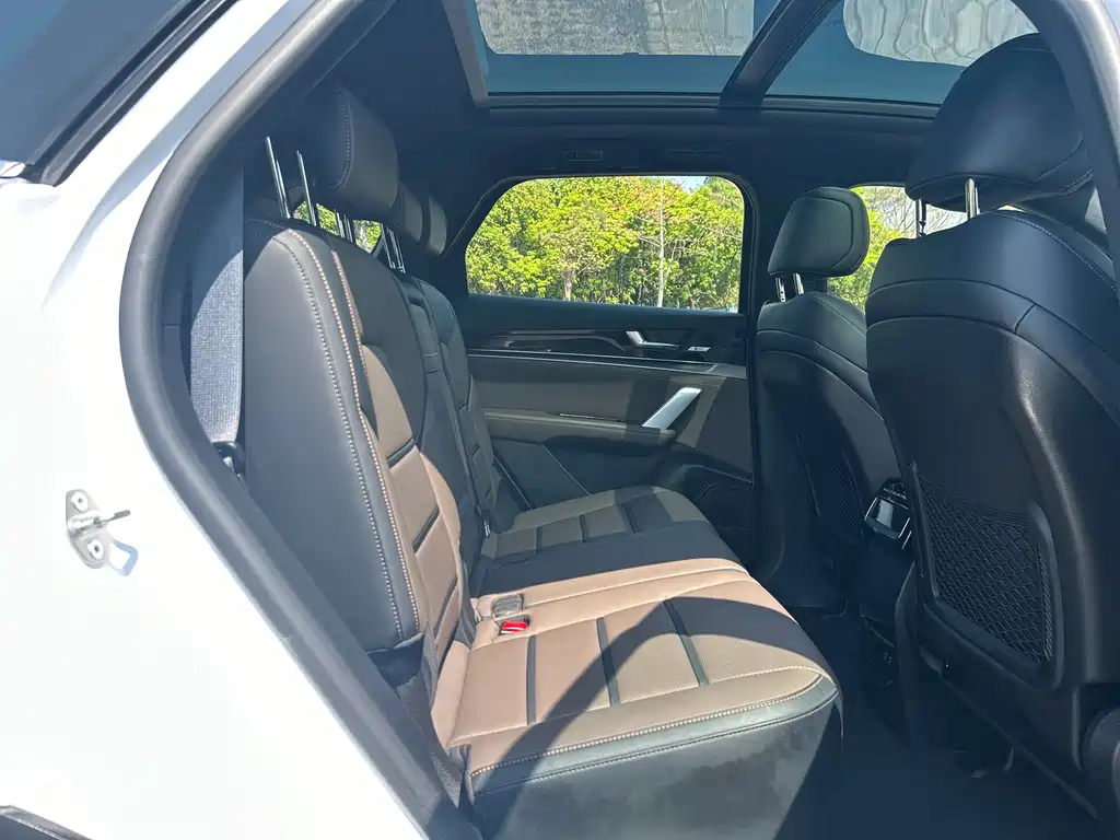 Tang 2021 2.0T automatic flagship model купить на сайте DeffCars