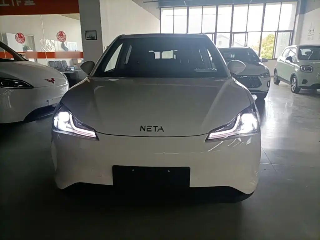 V 2021 Long Range Industry Customized Edition купить на сайте DeffCars