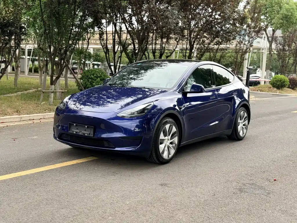 Model Y 2022 rear-wheel drive купить на сайте DeffCars