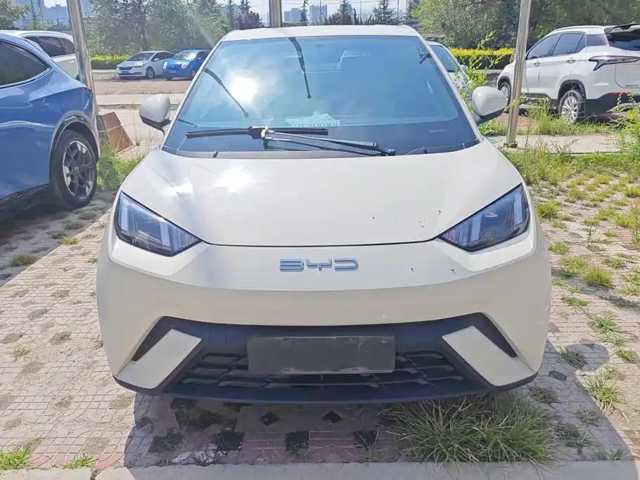 Seagull 2023 Flying Edition купить на сайте DeffCars