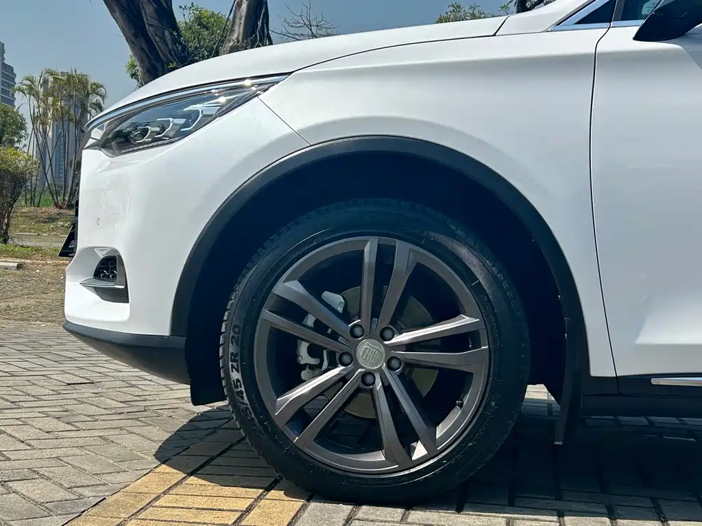 Tang 2021 2.0T automatic flagship model купить на сайте DeffCars