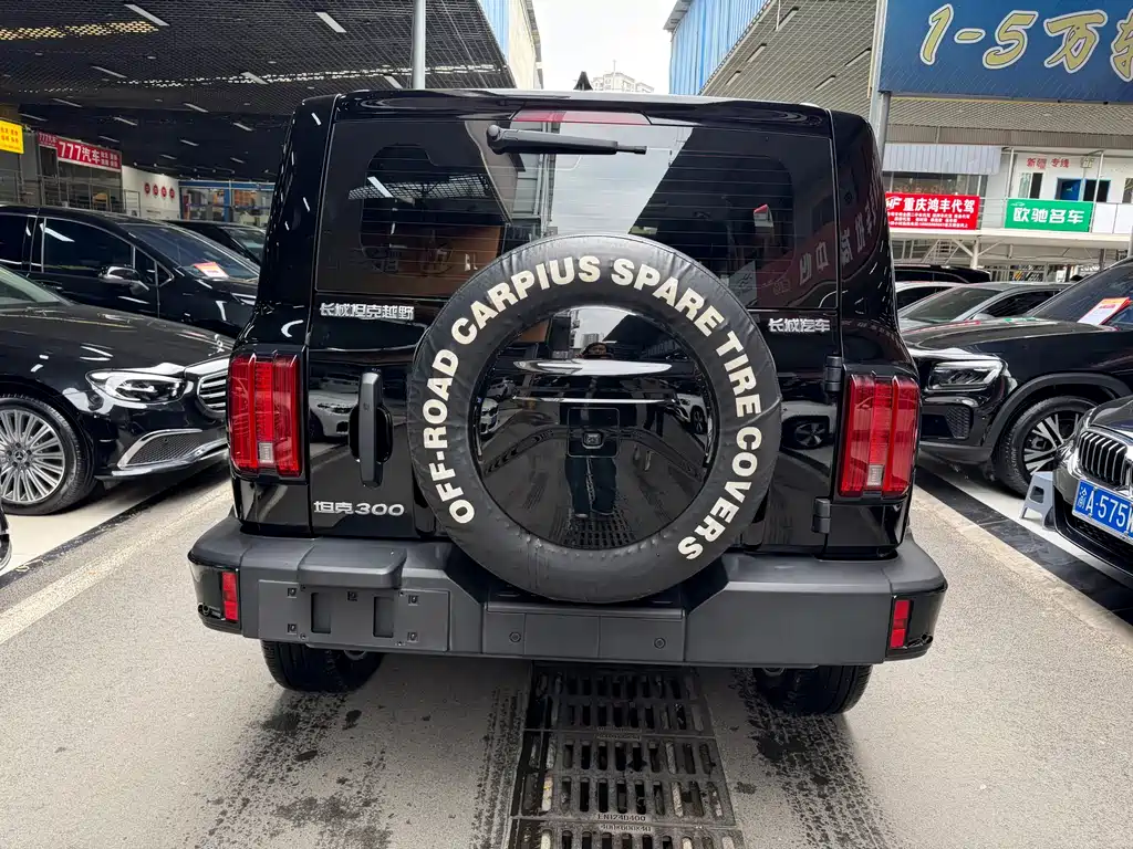 Tank 300 2024 2.0T Challenger купить на сайте DeffCars