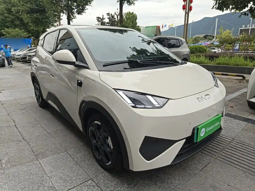 Seagull 2025 smart driving version 305km free version купить на сайте DeffCars
