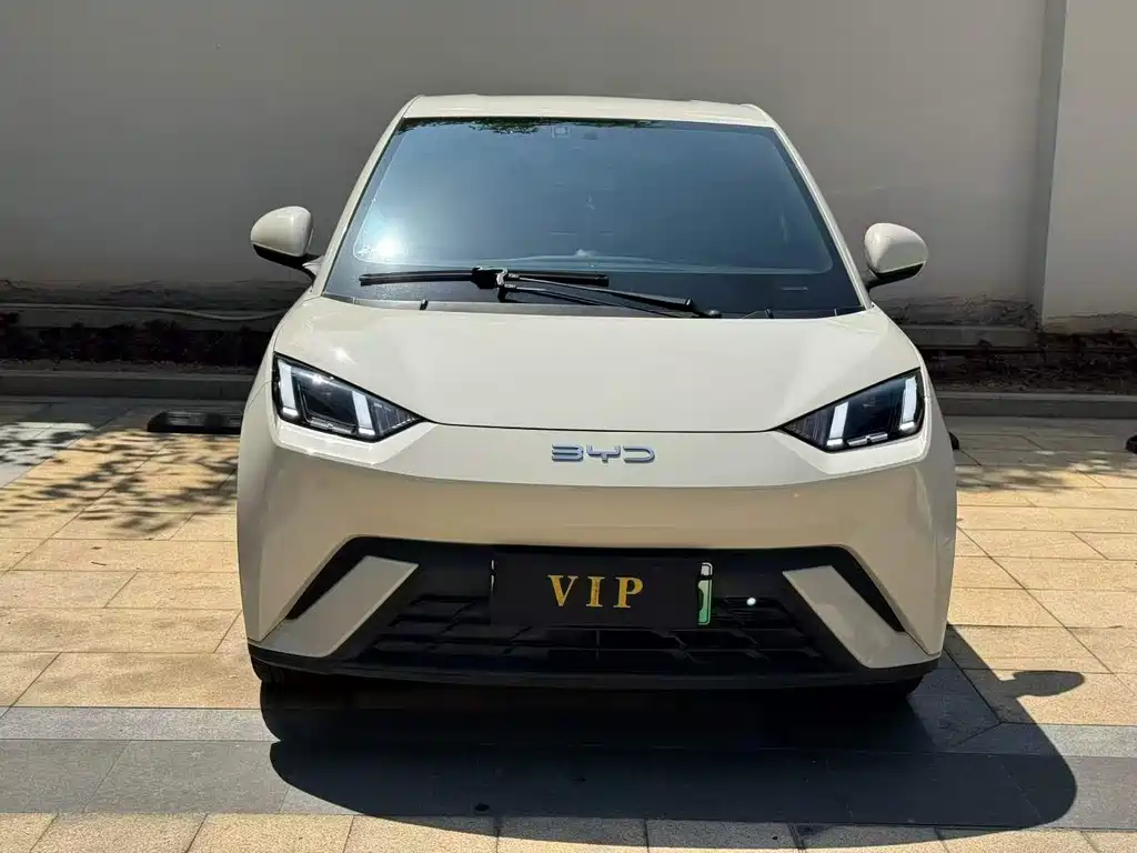 Seagull 2024 Honor Edition 305km Free купить на сайте DeffCars