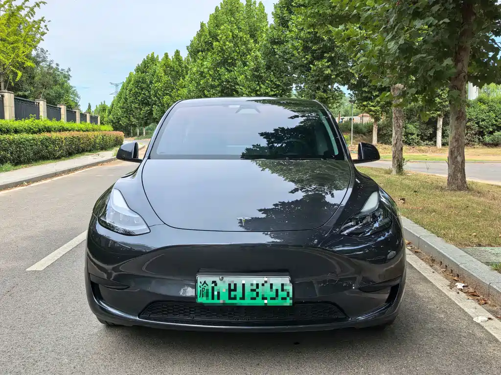 Model Y 2024 rear-wheel drive version купить на сайте DeffCars