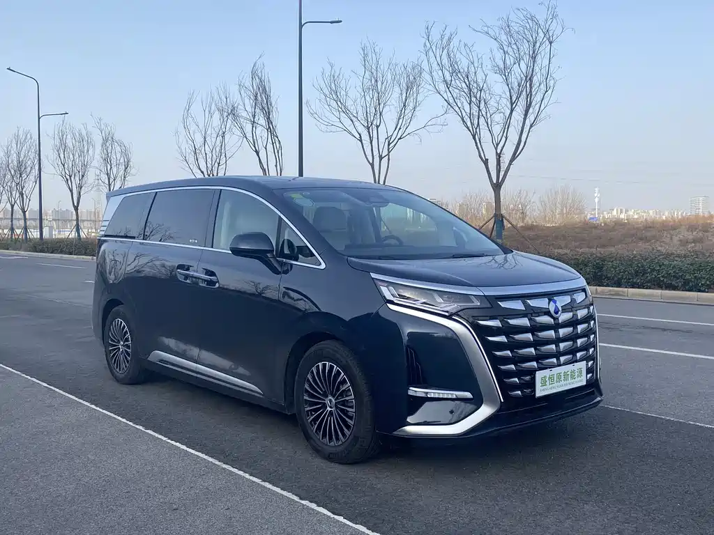 Denza D9 2024 DM-i 980 four-wheel drive flagship model купить на сайте DeffCars