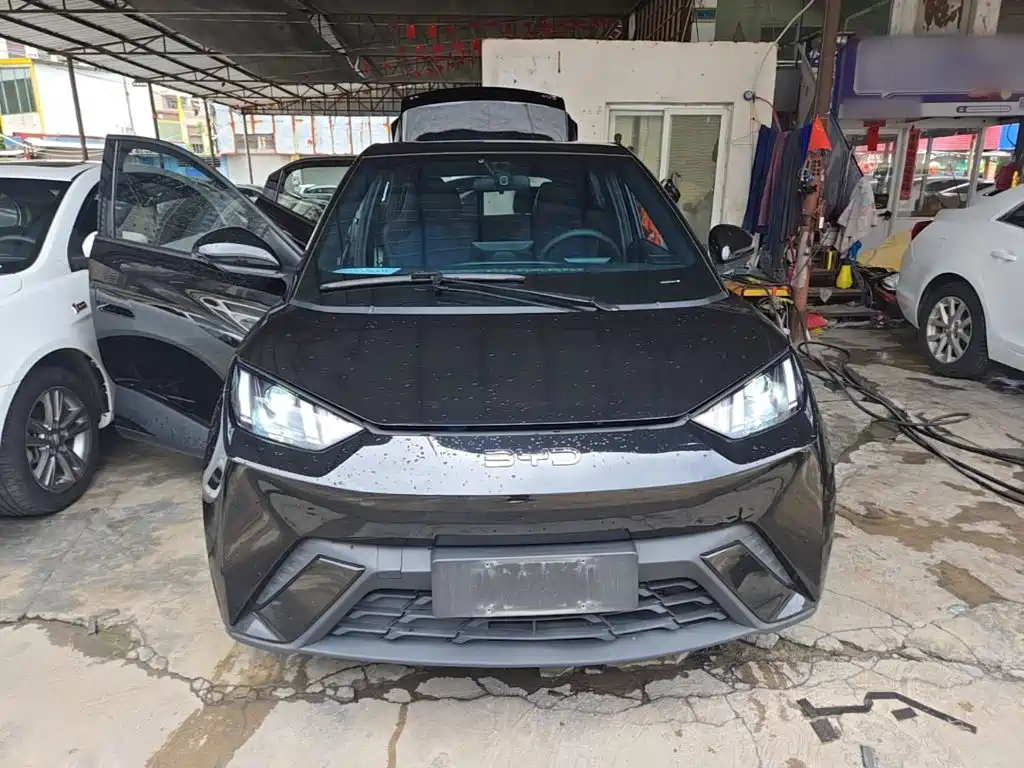 Seagull 2024 Honor Edition 305km Free Edition купить на сайте DeffCars