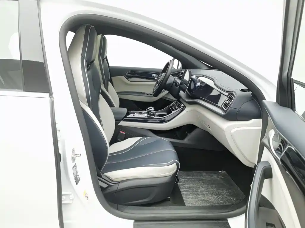 Qin PLUS 2021 EV 500KM luxury model купить на сайте DeffCars