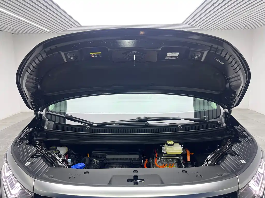 Denza D9 2024 DM-i 980 four-wheel drive premium model купить на сайте DeffCars