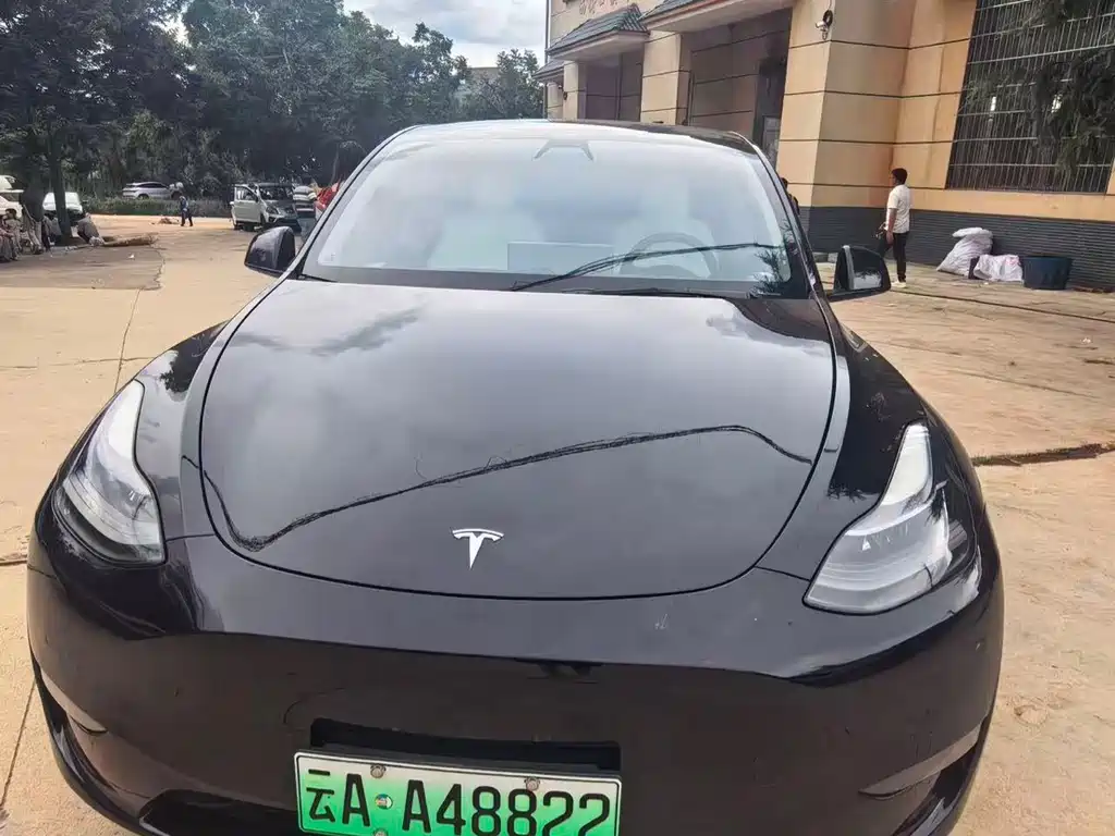Model Y 2021 Standard Range Rear Drive Edition купить на сайте DeffCars