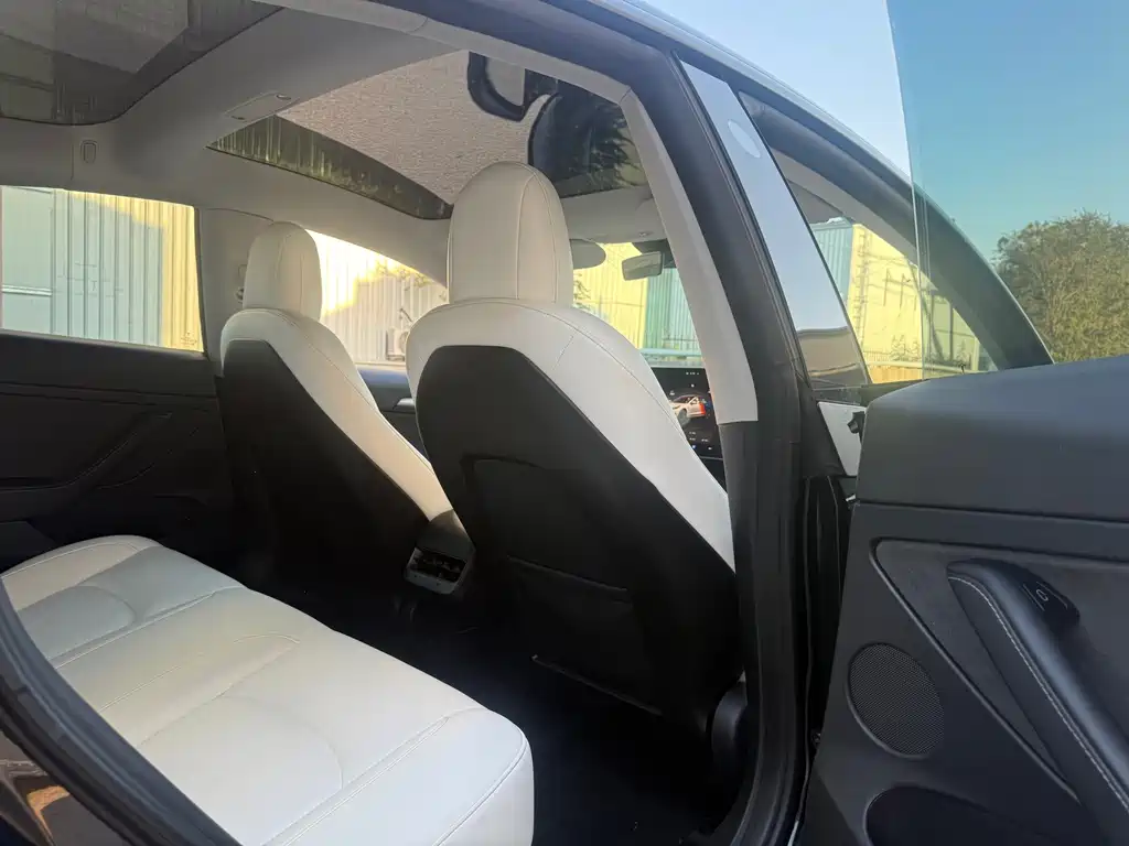 Model 3 2022 rear-wheel drive version купить на сайте DeffCars