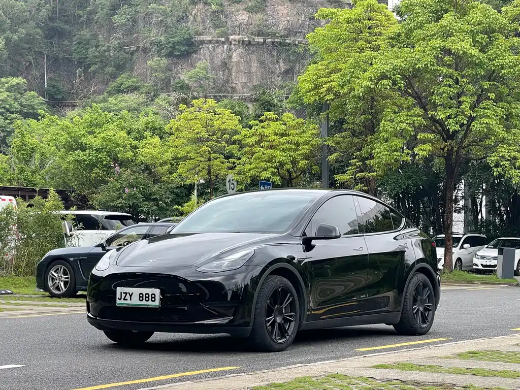 Model Y 2022 modified rear-wheel drive version купить на сайте DeffCars