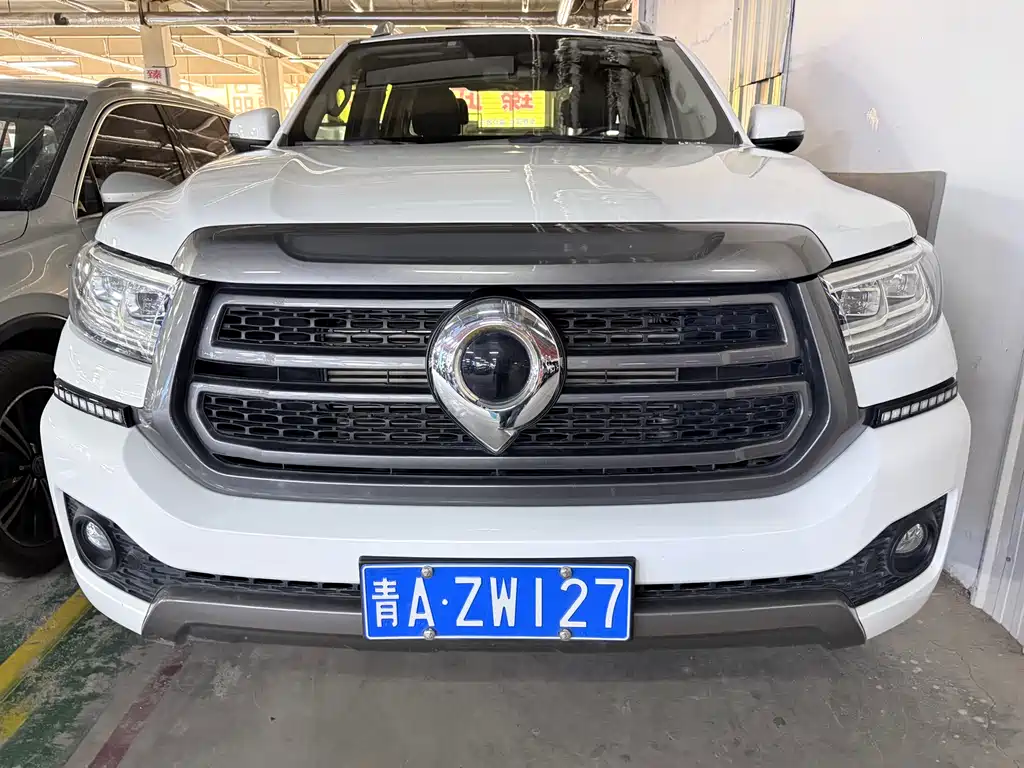Cannon 2023 2.0T passenger version automatic gasoline four-wheel drive exclusive model GW4C20B купить на сайте DeffCars