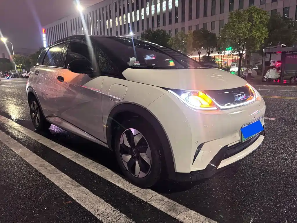 Dolphin 2024 Honor Edition 420km Fashion Edition купить на сайте DeffCars