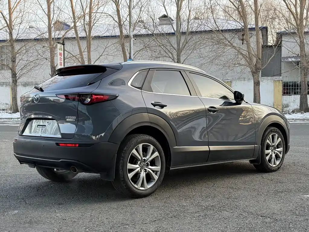 Mazda CX-30 2021 2.0L automatic Jiayue type купить на сайте DeffCars