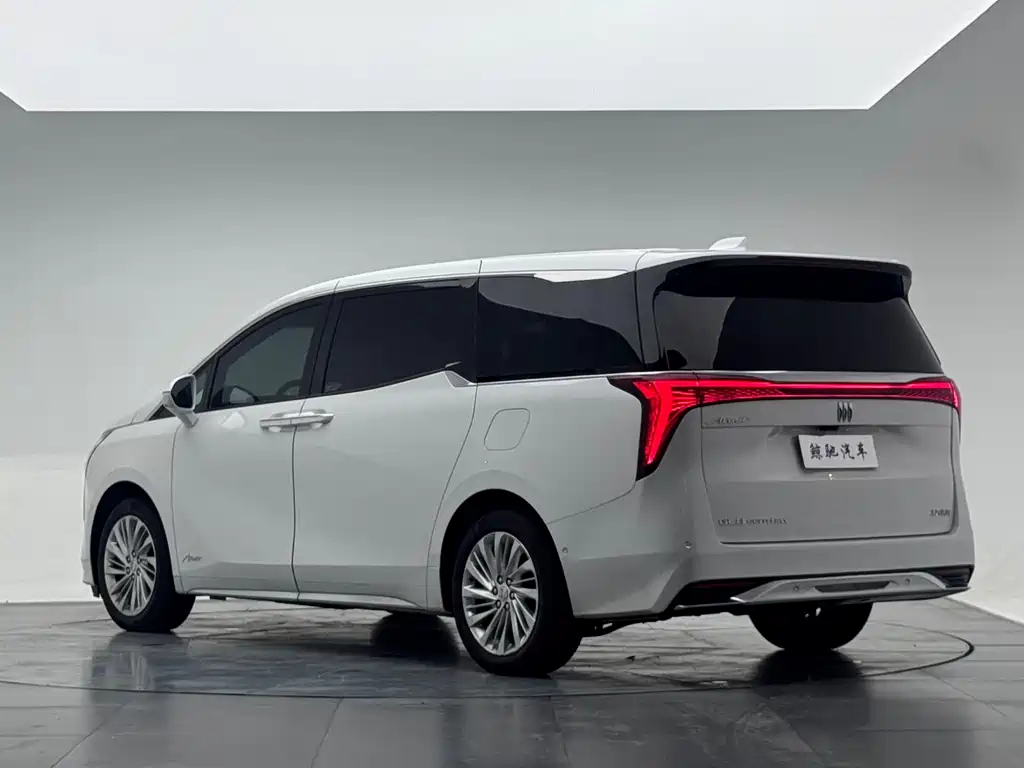 Century 2023 2.0T Six-seater Yuanshi Edition купить на сайте DeffCars