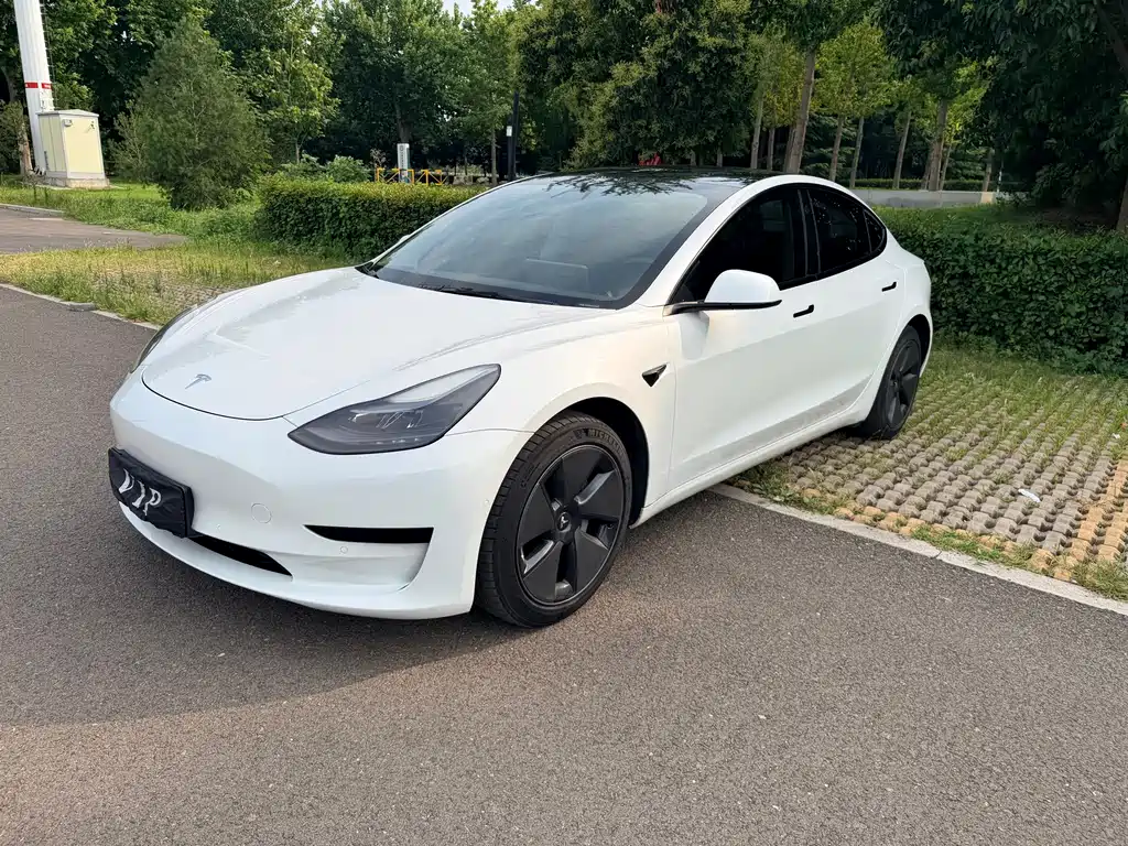 Model 3 2021 modified standard battery life rear drive upgrade version 3D1 купить на сайте DeffCars