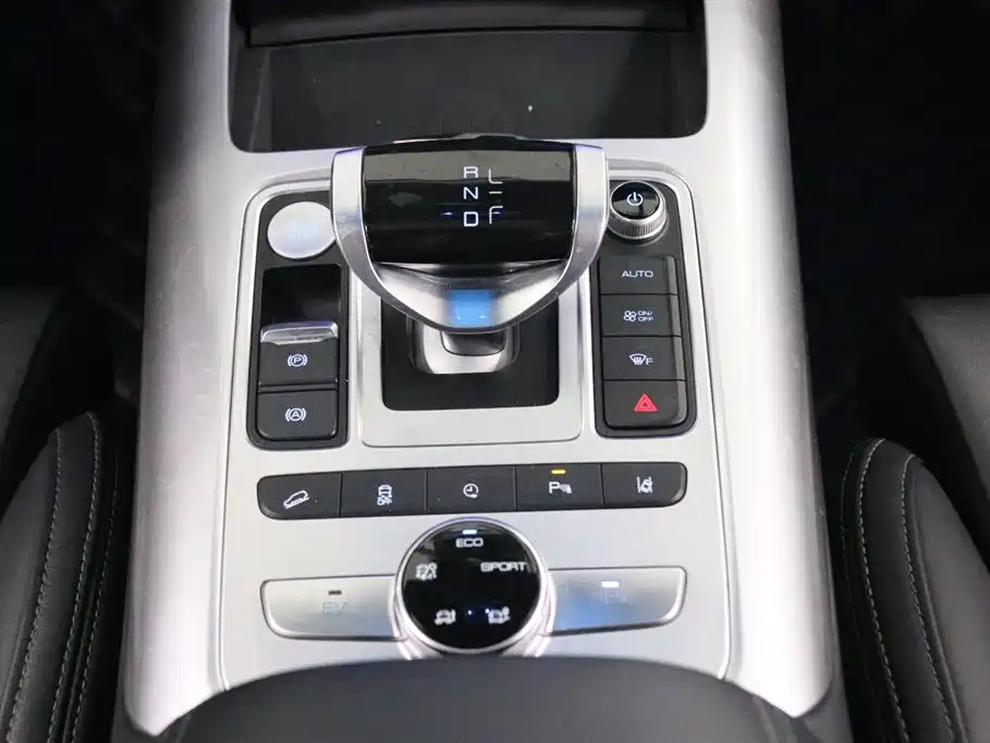 Denza X 2020 PHEV flagship version купить на сайте DeffCars