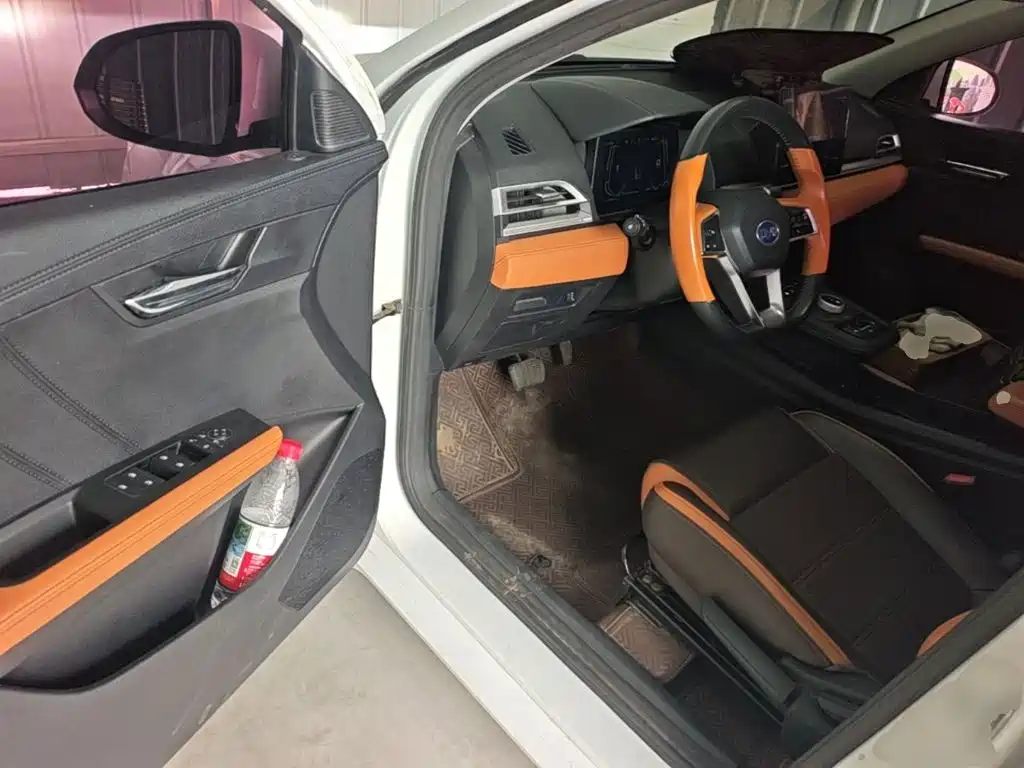 BYD E2 2020 Upgrade High Endurance Luxury Edition купить на сайте DeffCars