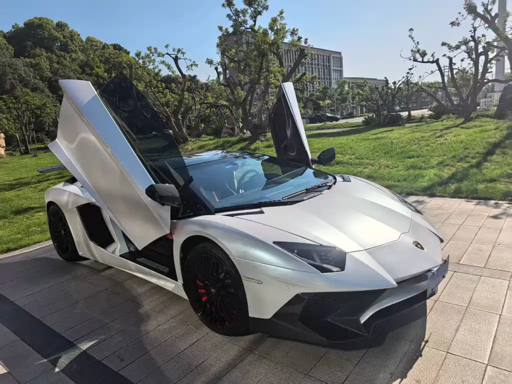 Aventador 2011 LP 700-4 купить на сайте DeffCars